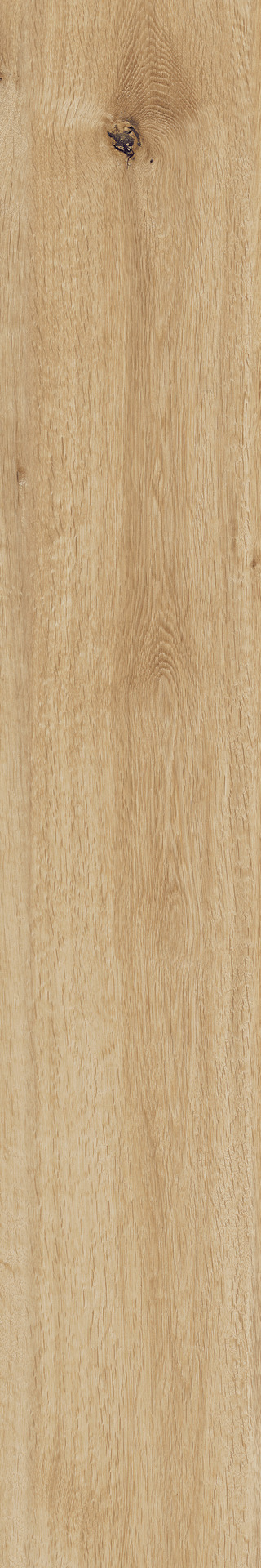 Ragno Woodtale  - Woodtale – R4TN