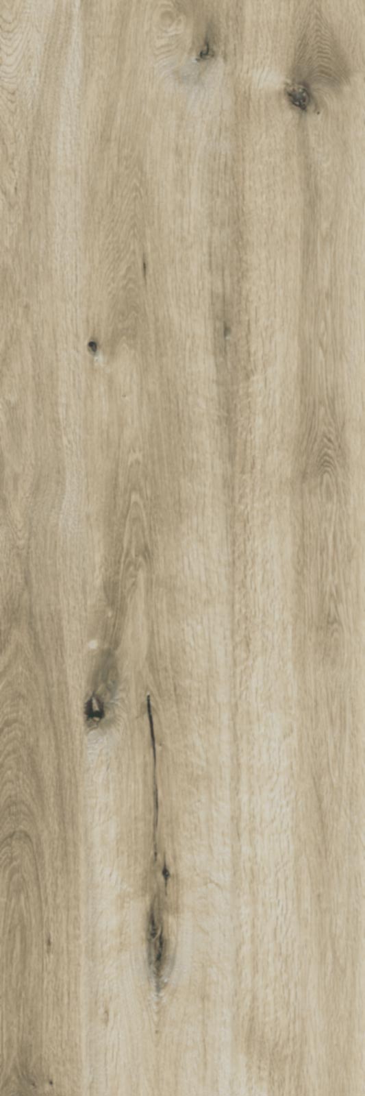 Ragno Woodtale XT20  - Woodtale XT20 – R51X