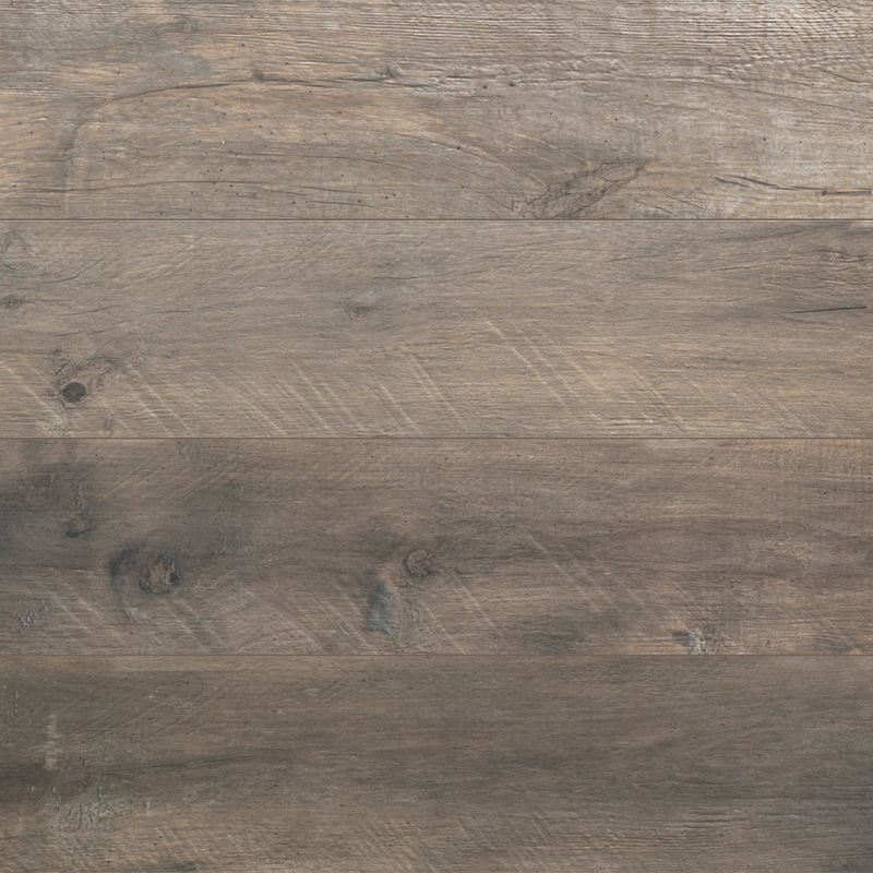 Flaviker Pisa X20 - Dakota Avana