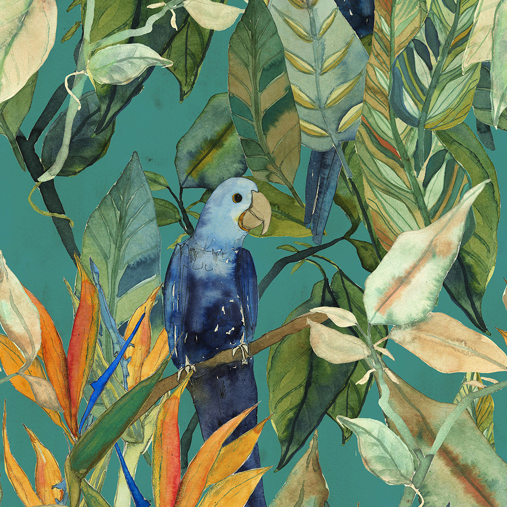 Scenari 5.0 Parrotland