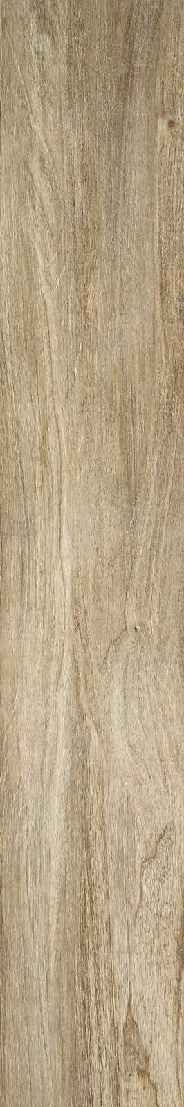 Treverkchic – MH2U