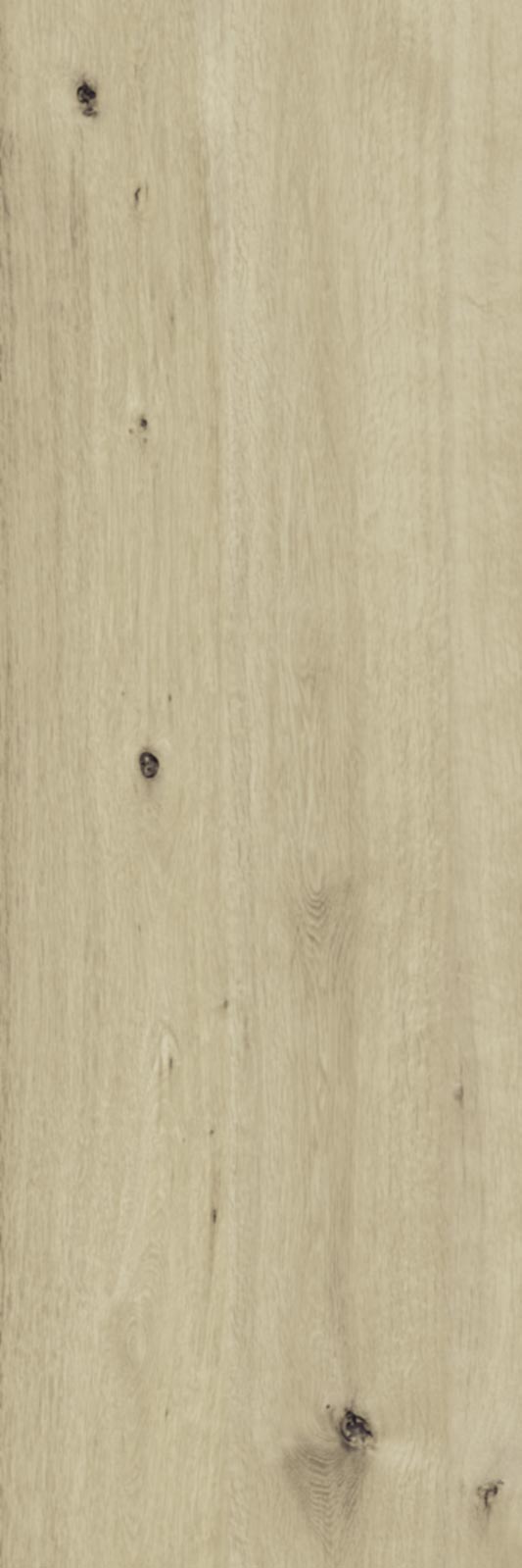 Ragno Woodtale XT20  - Woodtale XT20 – R51W