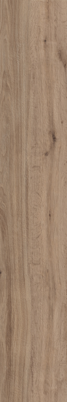 Treverktrend – MMJ5