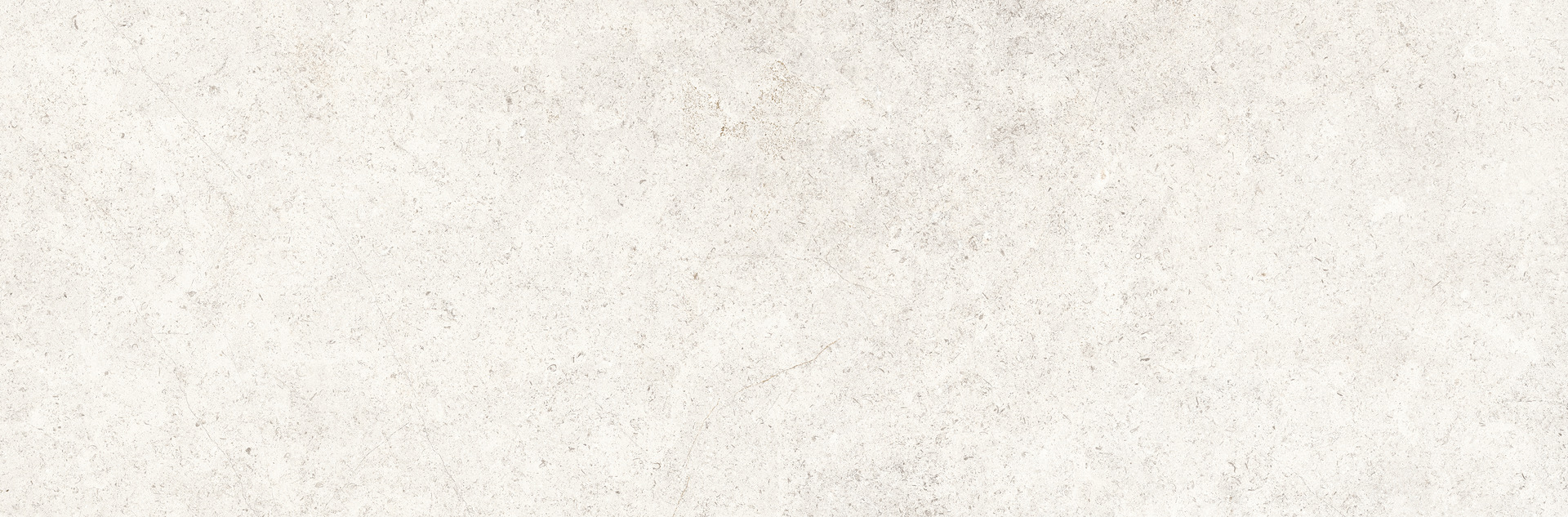 Ragno Richmond  - Richmond – RACU