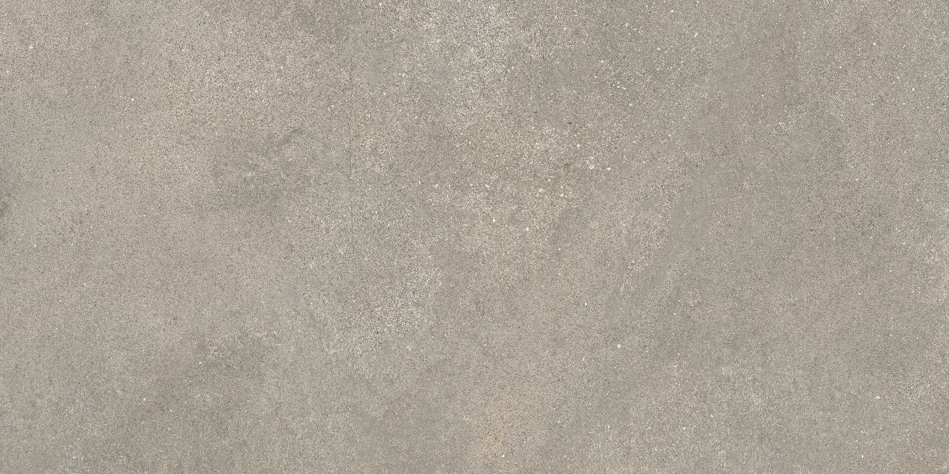 Ragno Stratford  - Stratford – R8WS