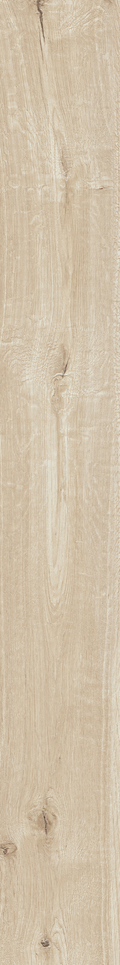 Ragno Woodtale  - Woodtale – R4TS