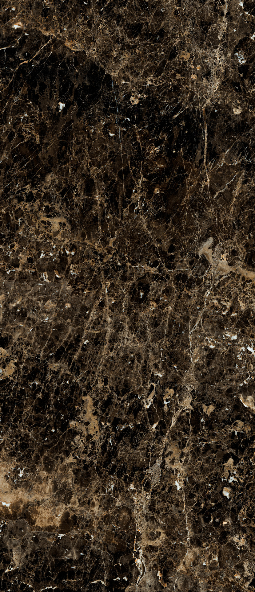 Ragno Incanto  - Incanto – R8T0