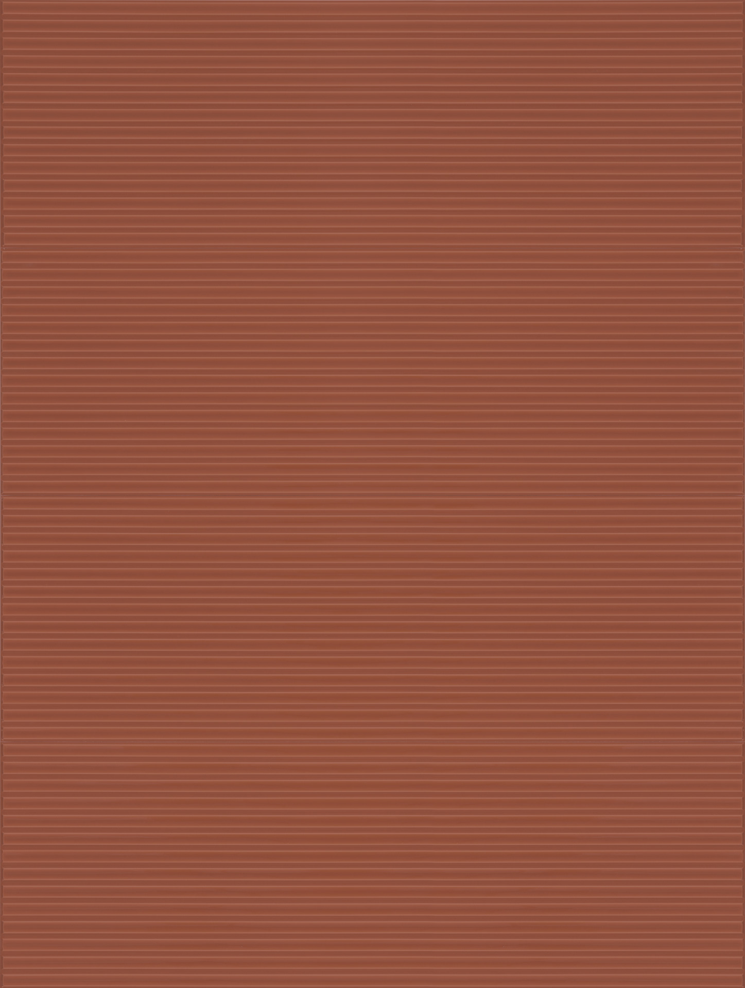 Ragno Lucida  - Lucida – RCRM