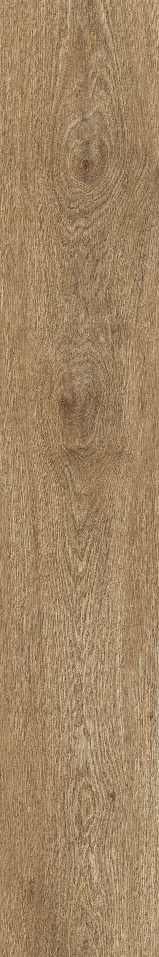 Ragno Ossimori  - Ossimori – R9RJ