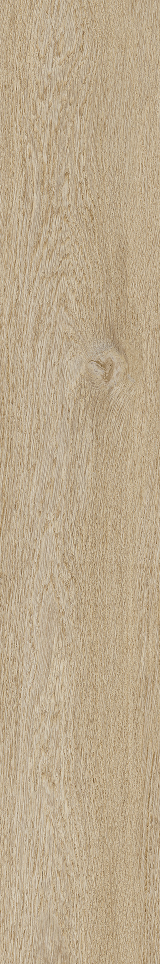 Ragno Ossimori  - Ossimori – R9TG