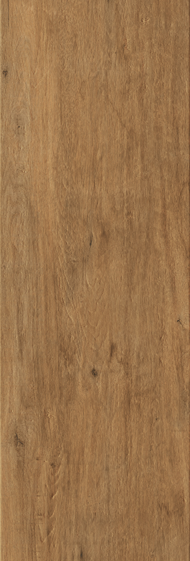 Treverkdear20 – MCN9