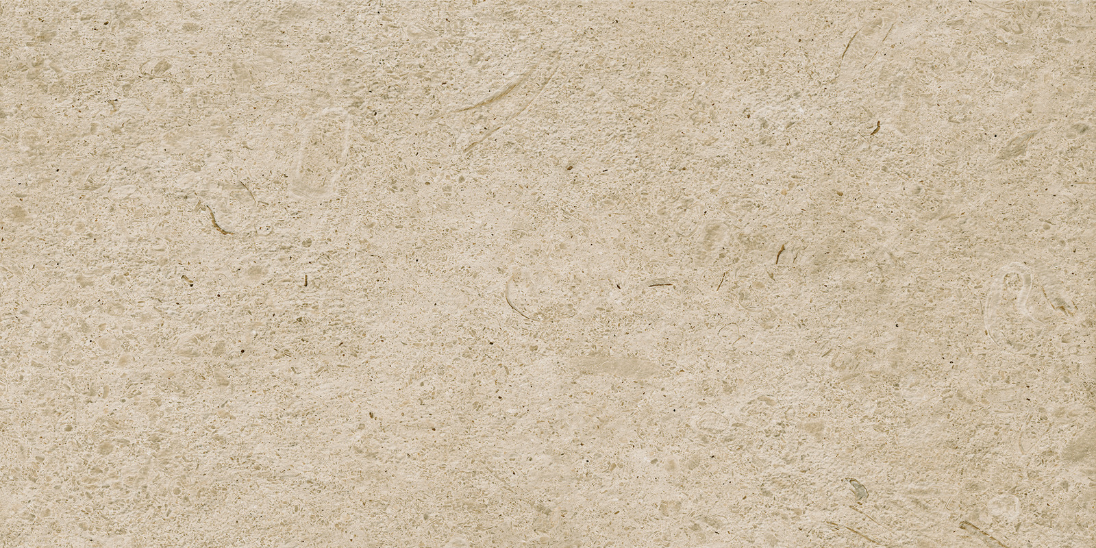 Ragno Eterna  - Eterna – R8KT