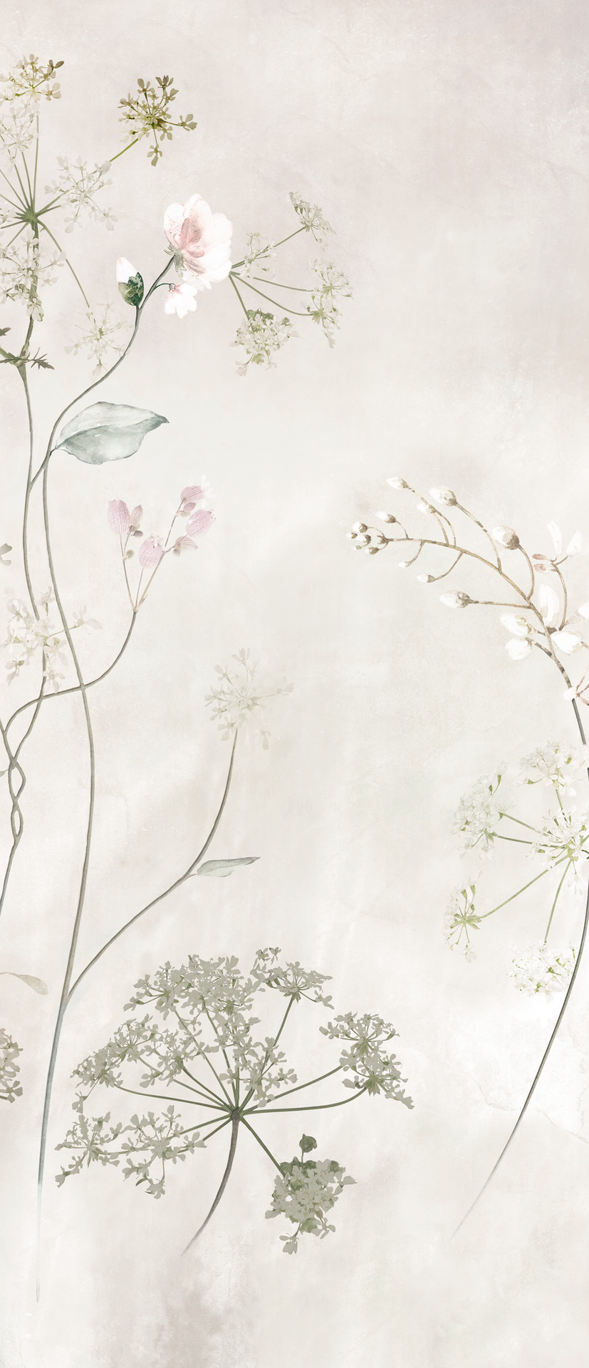 Ragno Maiora_Concrete Effect  - Maiora_Concrete Effect – R9JW