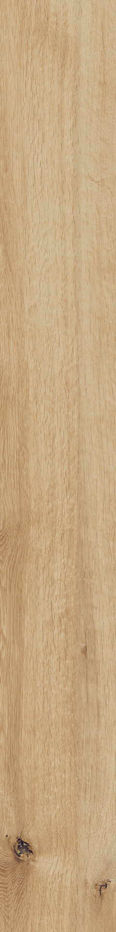 Ragno Woodtale  - Woodtale – R4TT