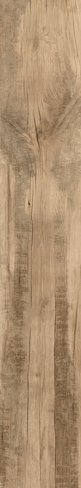 Ragno Woodmania  - Woodmania – R56A