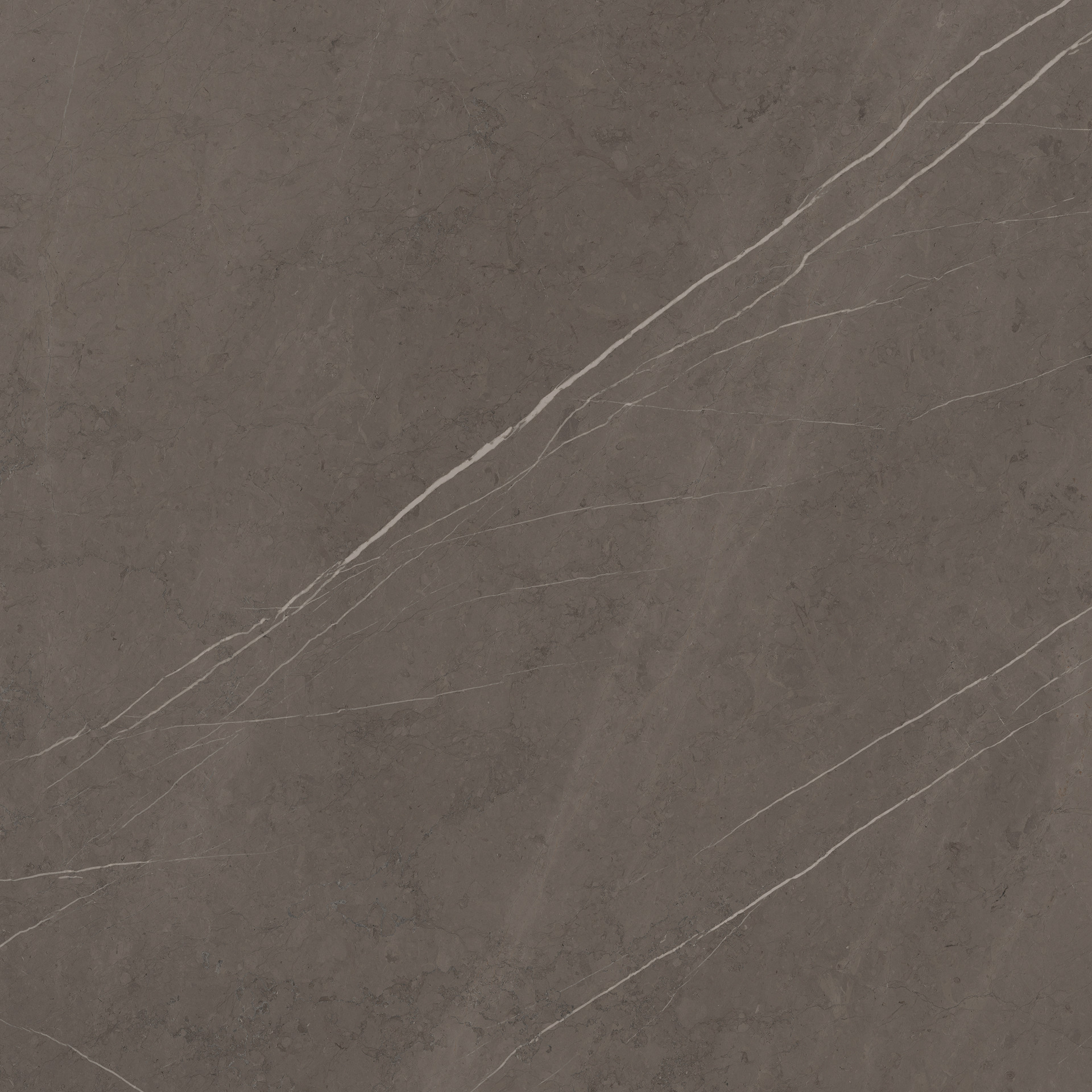 Ragno Incanto  - Incanto – R8TK