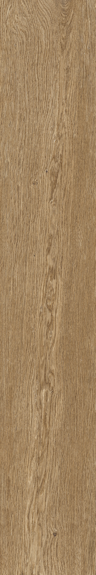 Ragno Ossimori  - Ossimori – R9RP