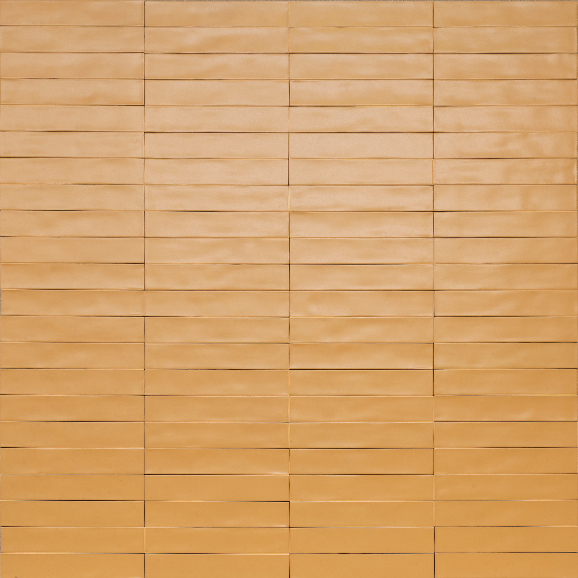 Ragno Wish  - Wish – RCGD