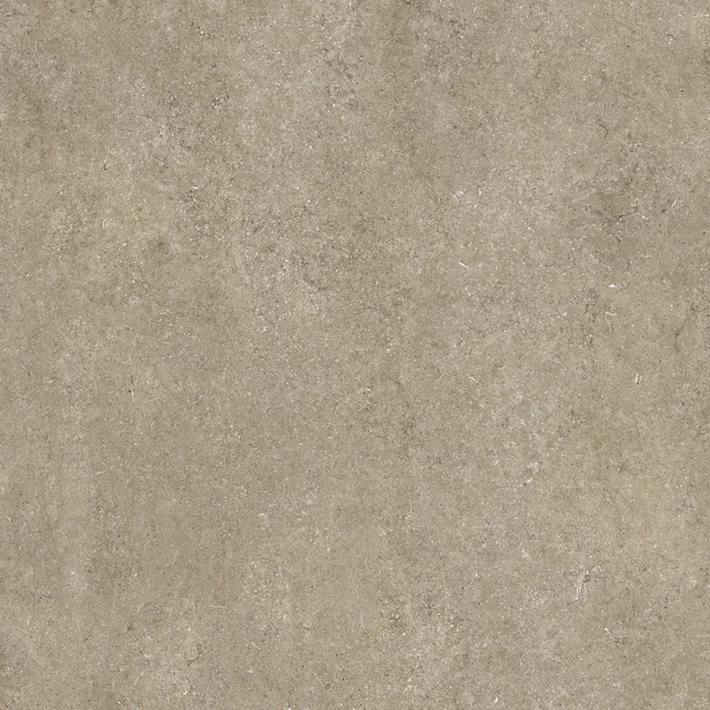 Taupe Fossil