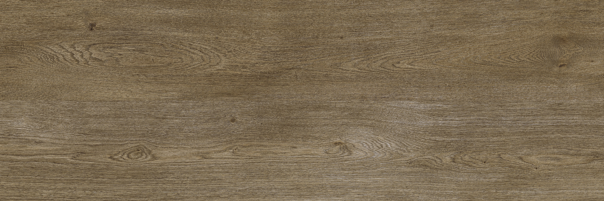 Ragno Inedito xt20  - Inedito xt20 – RARP