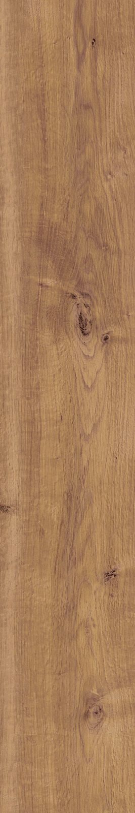 Treverkhome – MKLG