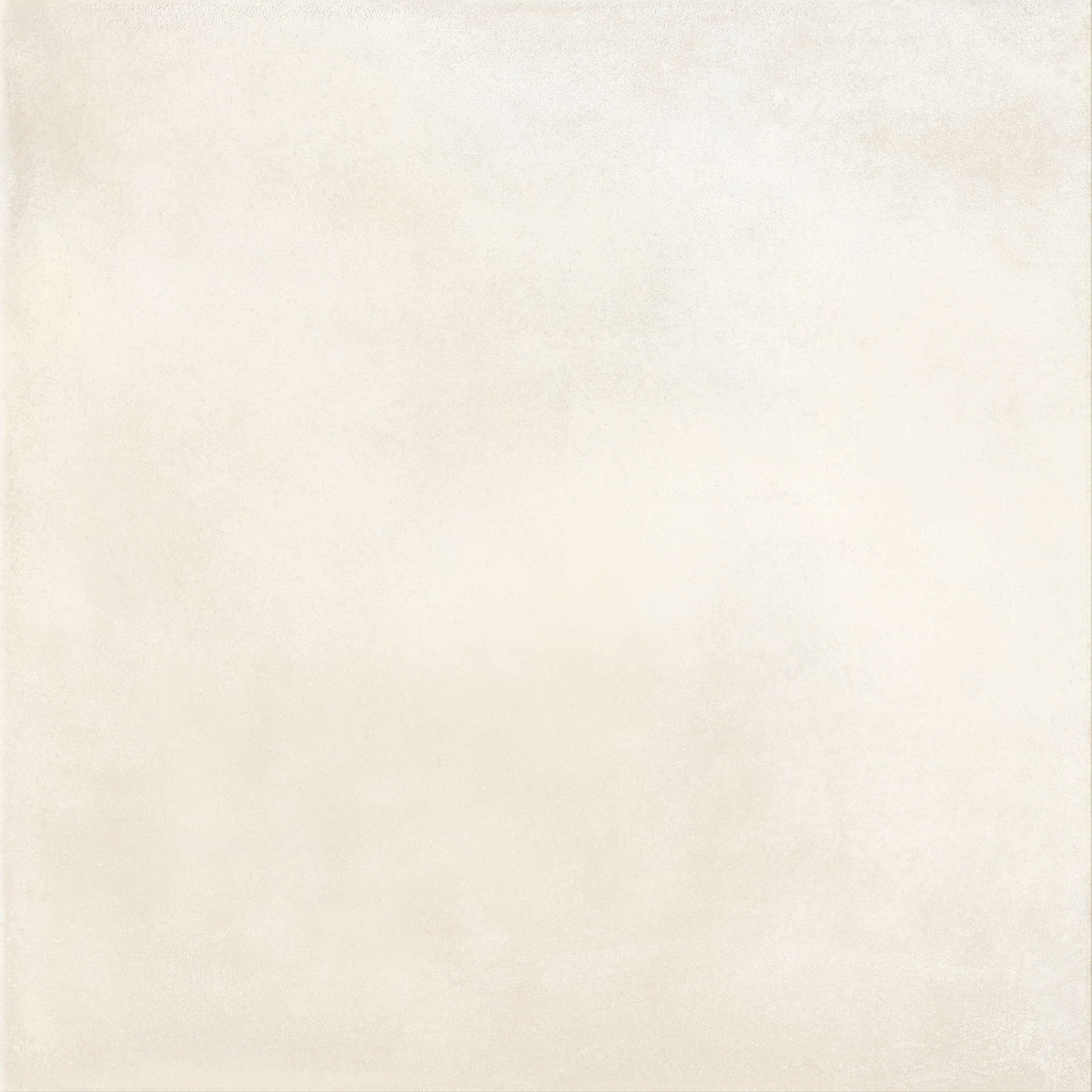 Ragno Amuri  - Amuri – RC8V