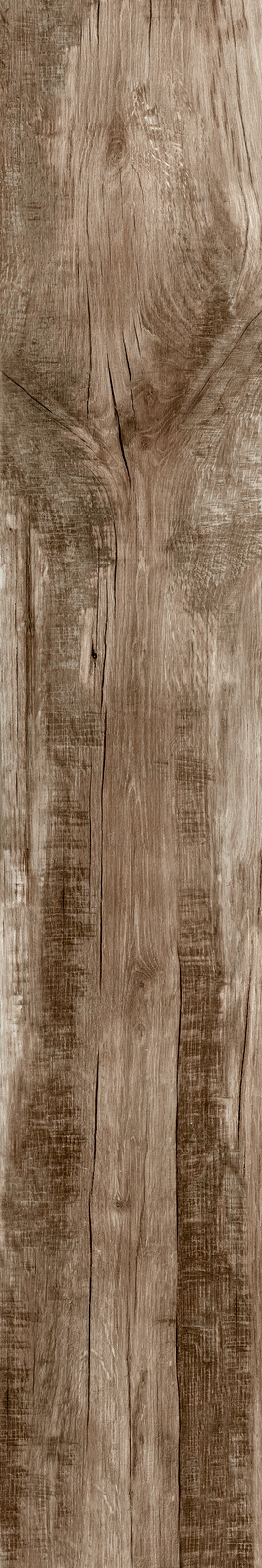 Ragno Woodmania  - Woodmania – R56D