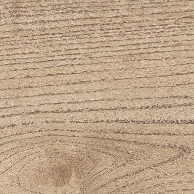 Ariana Bois - Rovere