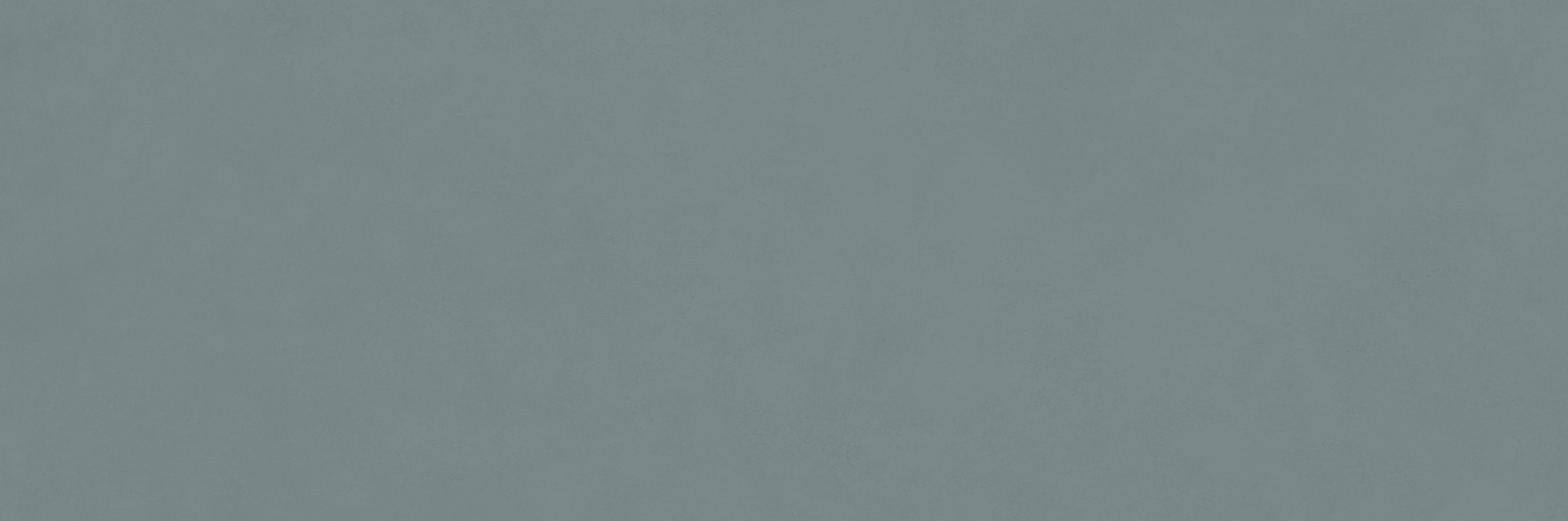 Ragno Vida  - Vida – RA6G