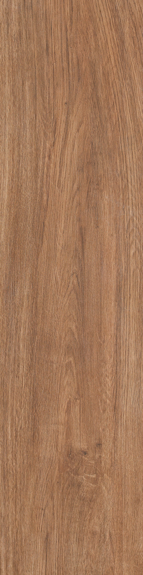 Ragno Woodliving  - Woodliving – R3ZY