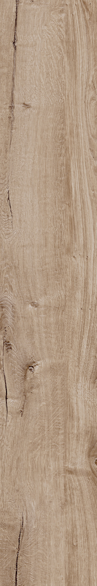 Ragno Woodtale  - Woodtale – R4TP