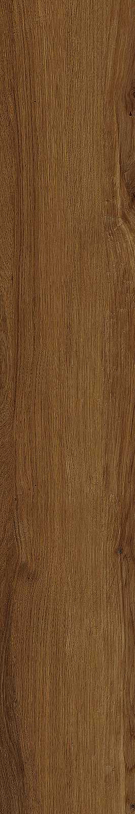 Treverklife – MQYP