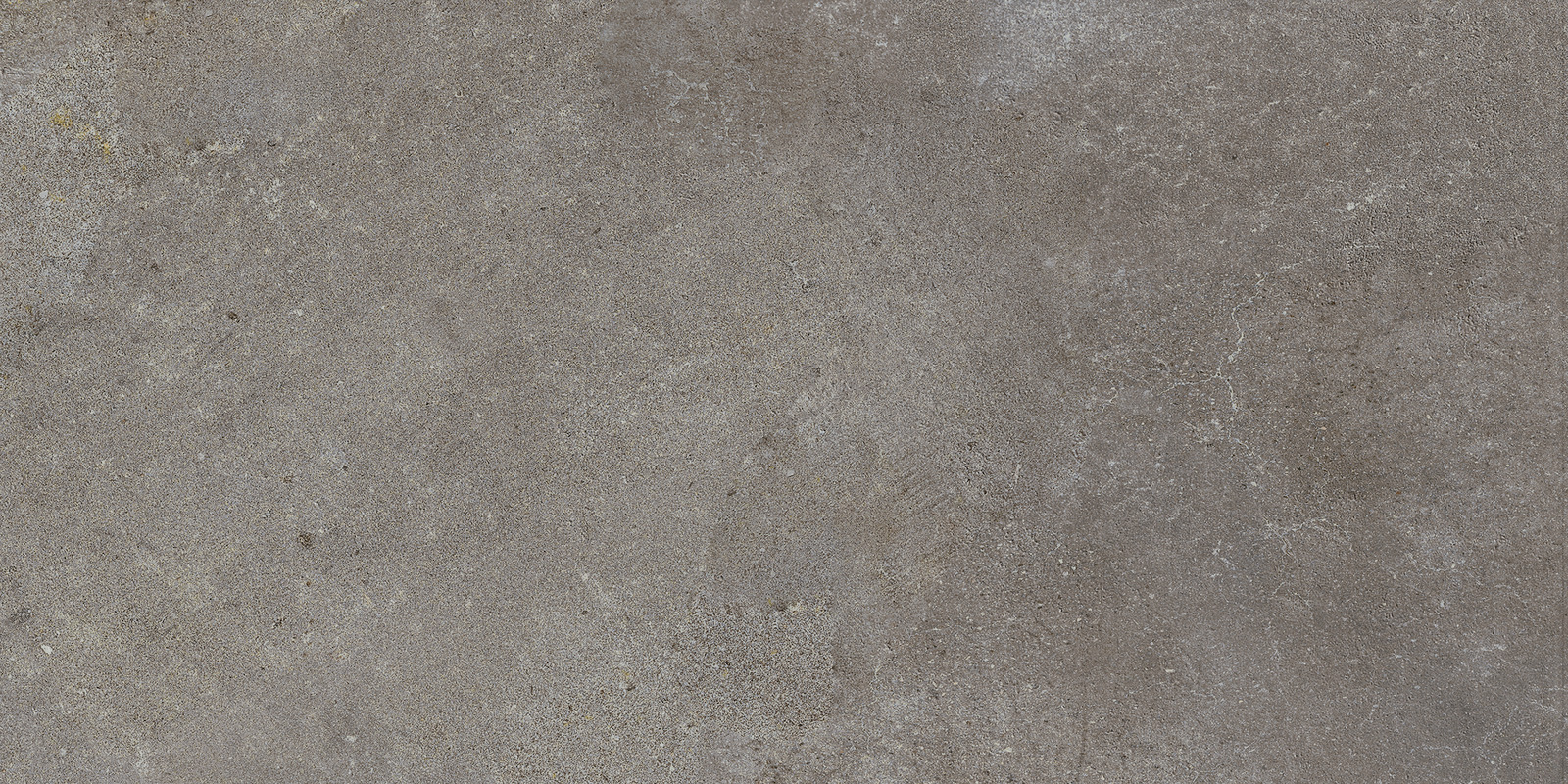 Ragno Studio  - Studio – R4QK