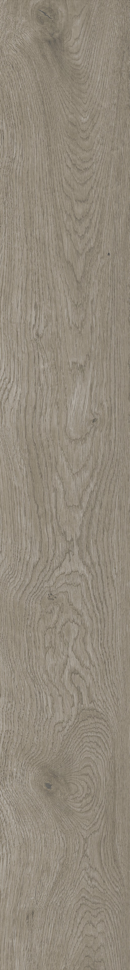 Ragno Boheme  - Boheme – RCDC