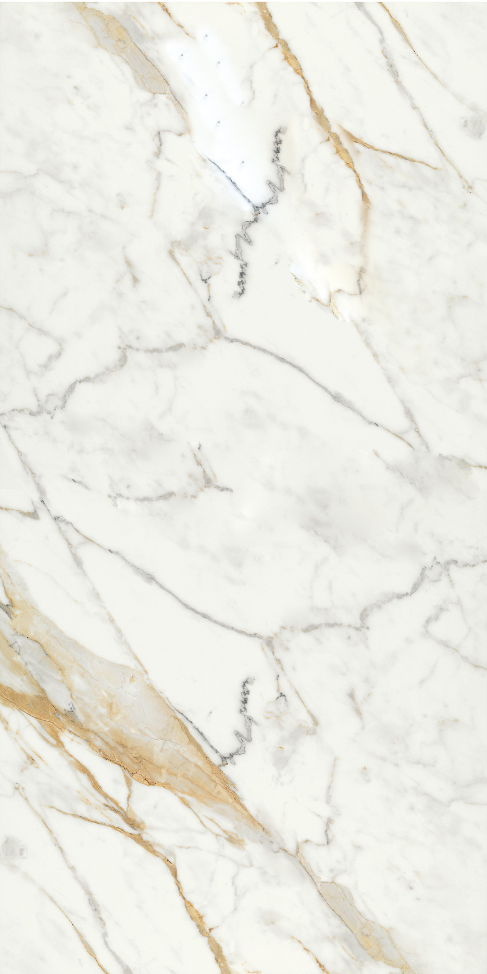 Ragno Incanto  - Incanto – R8Z4