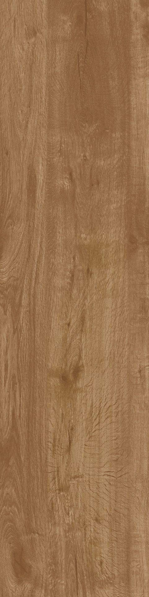 Ragno Woodtale  - Woodtale – R4TK