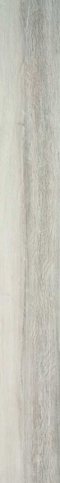 Treverkchic – MH33