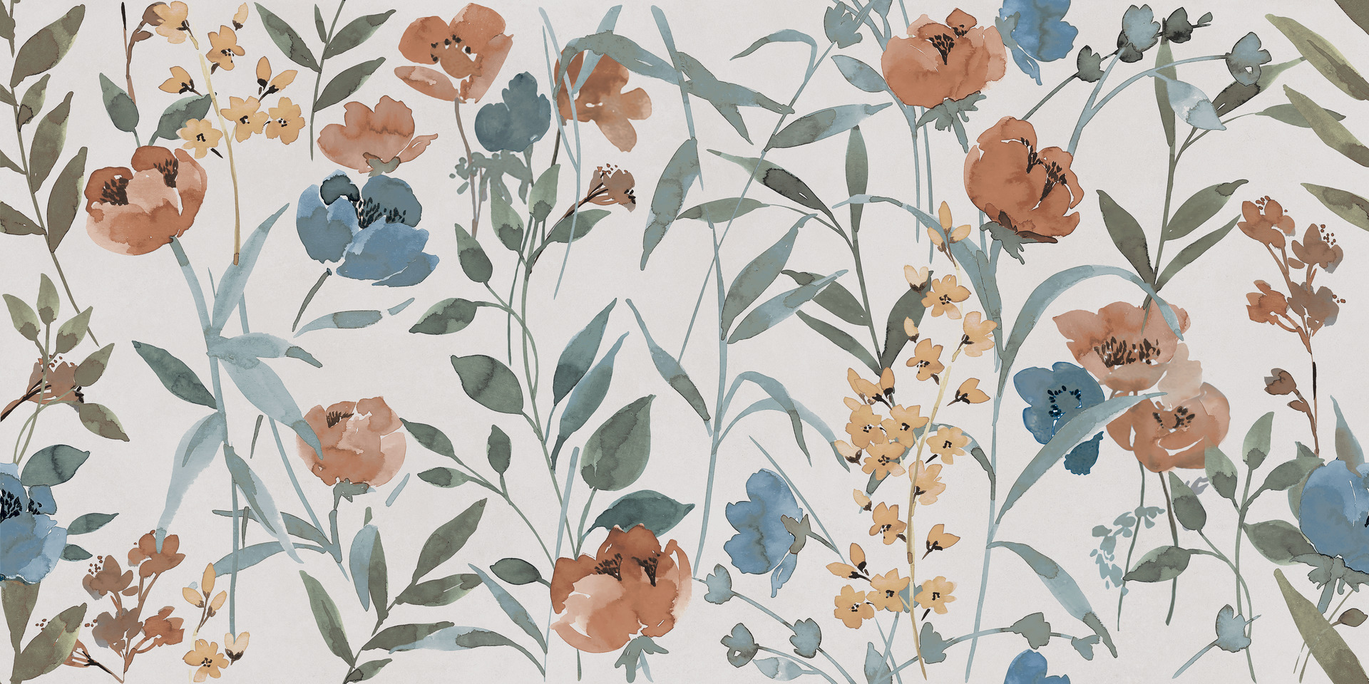 Ragno Decora  - Decora – R9QG