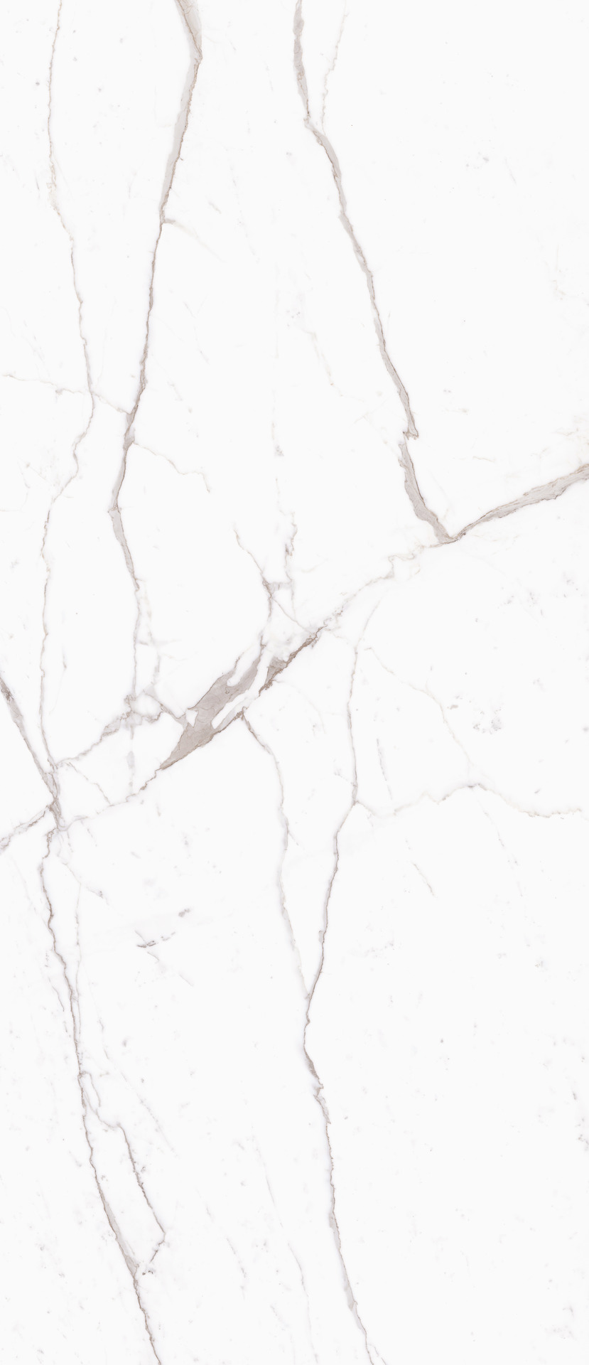 Ragno Incanto  - Incanto – R8RG