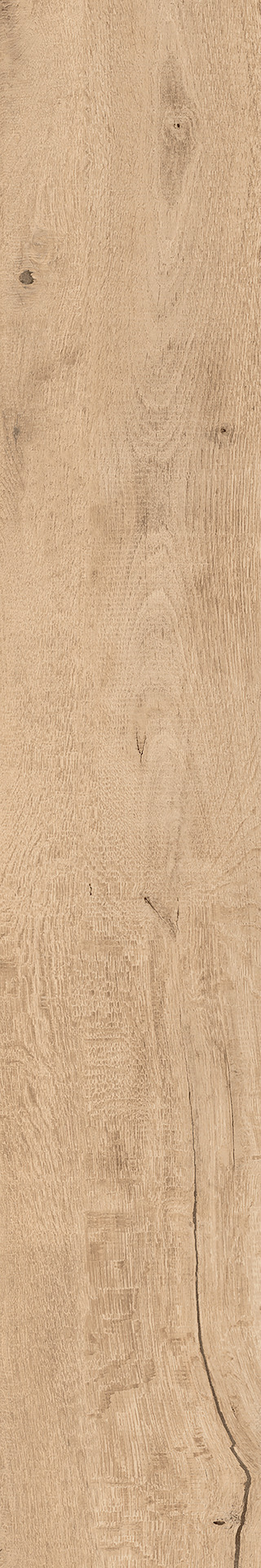 Treverkdear – MZUA