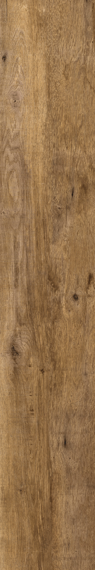 Treverkdear – MZUC