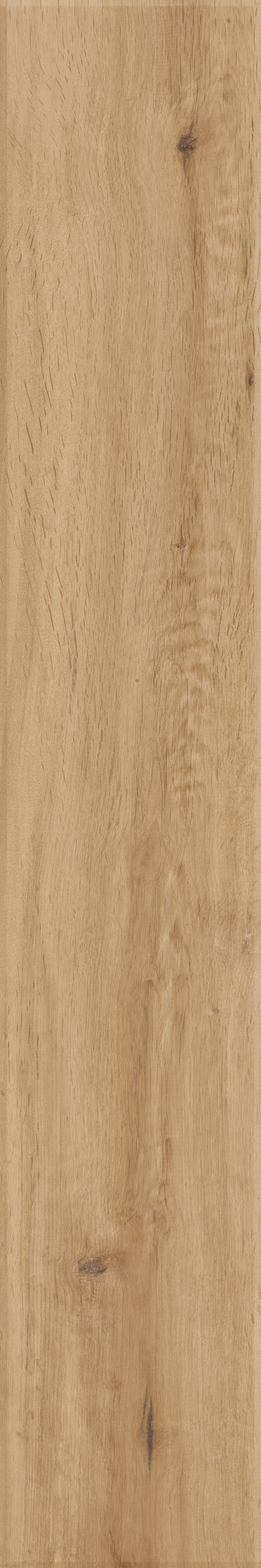 Ragno Woodstory  - Woodstory – R5RQ