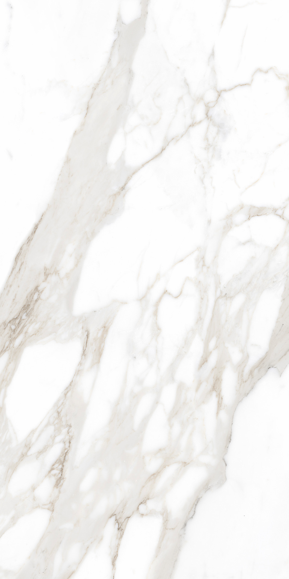 Ragno Incanto  - Incanto – R8SF