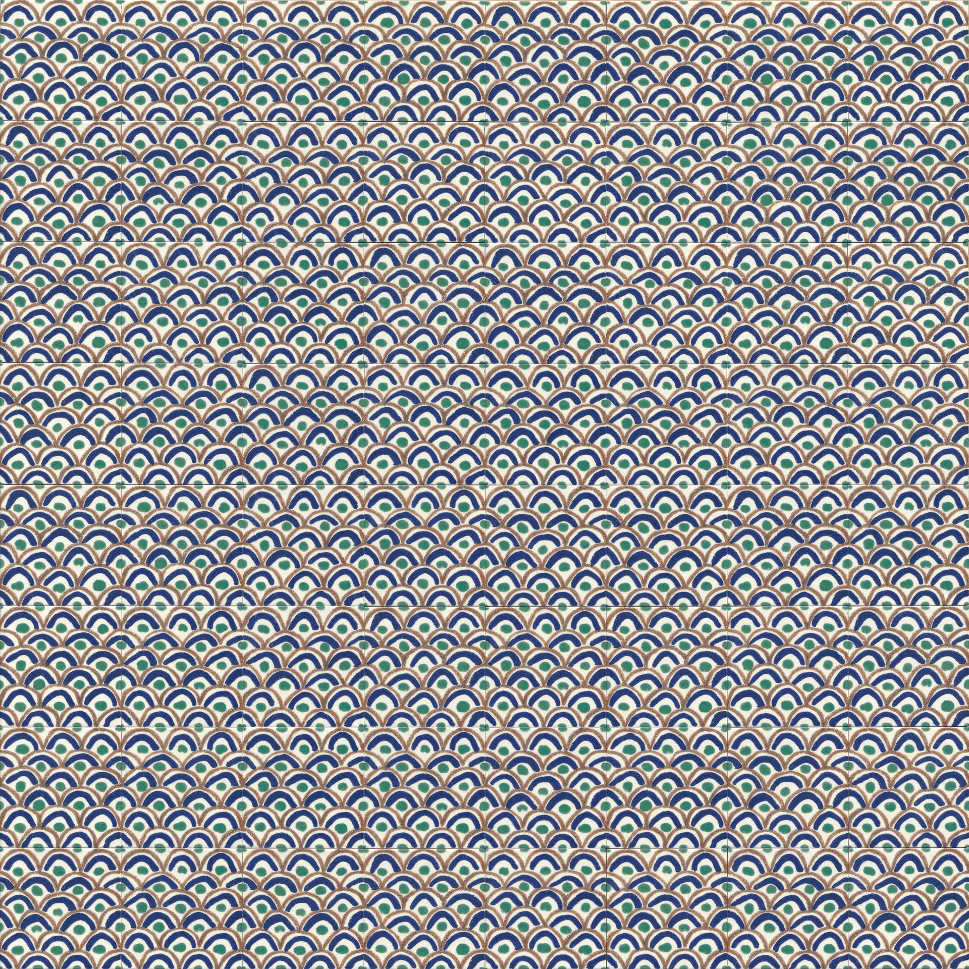 Ragno Sol  - Sol – R9QP