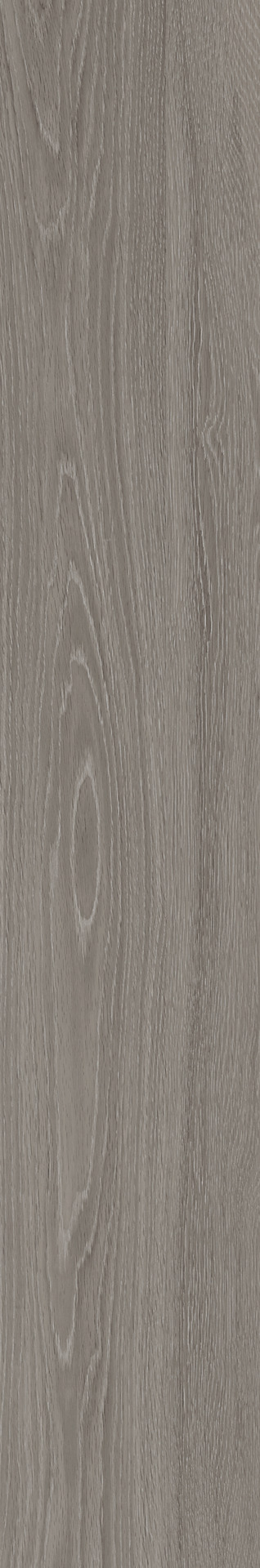 Ragno Grove  - Grove – RA4Q