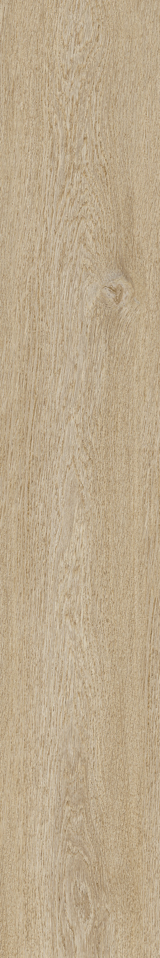 Ragno Ossimori  - Ossimori – R9RN