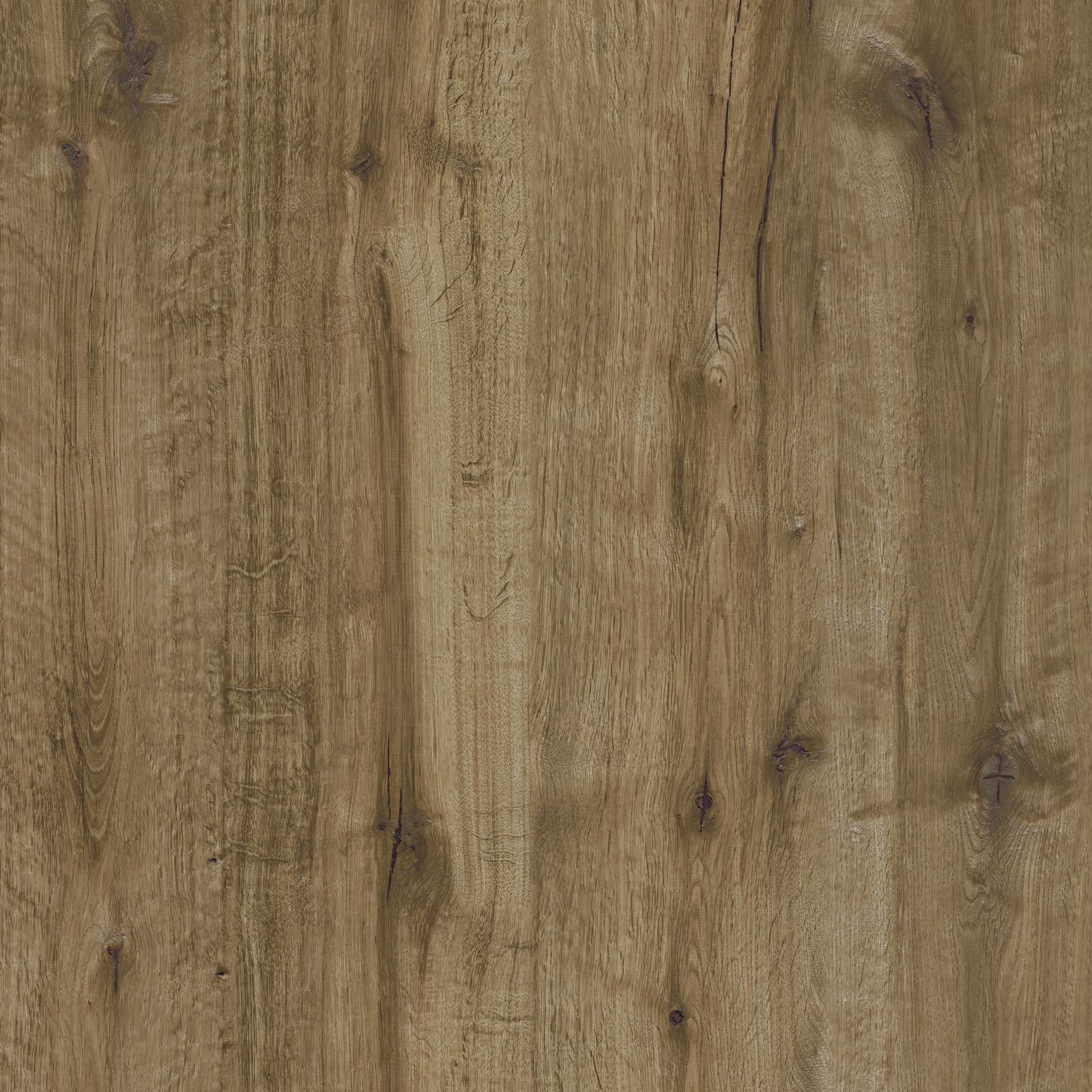 Ragno Woodtale XT20  - Woodtale XT20 – R4XJ