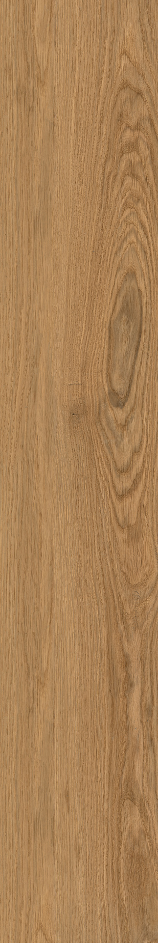 Ragno Woodclass  - Woodclass – R76S