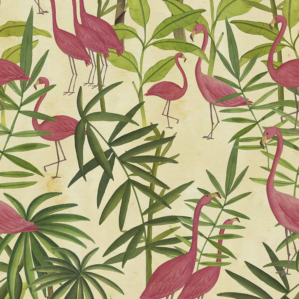 Scenari 2.0 Camargue