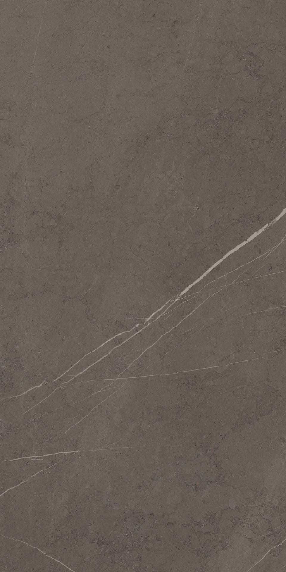 Ragno Incanto  - Incanto – R8TM